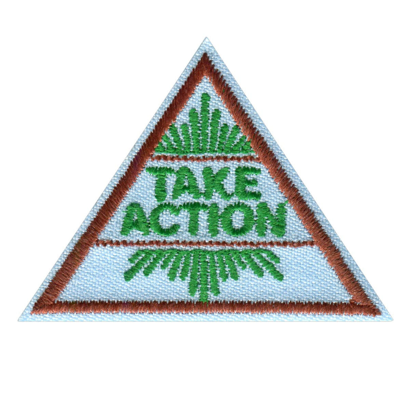 Girl Scout Merchandise Brownie Take Action Award