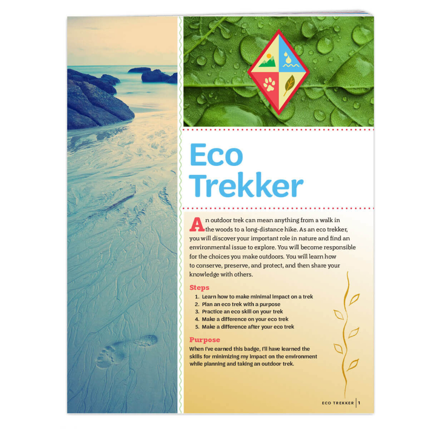 Girl Scout Merchandise Cadette Eco Trekker Badge Requirements