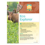 Girl Scout Merchandise Senior Eco Explorer Badge Requirements