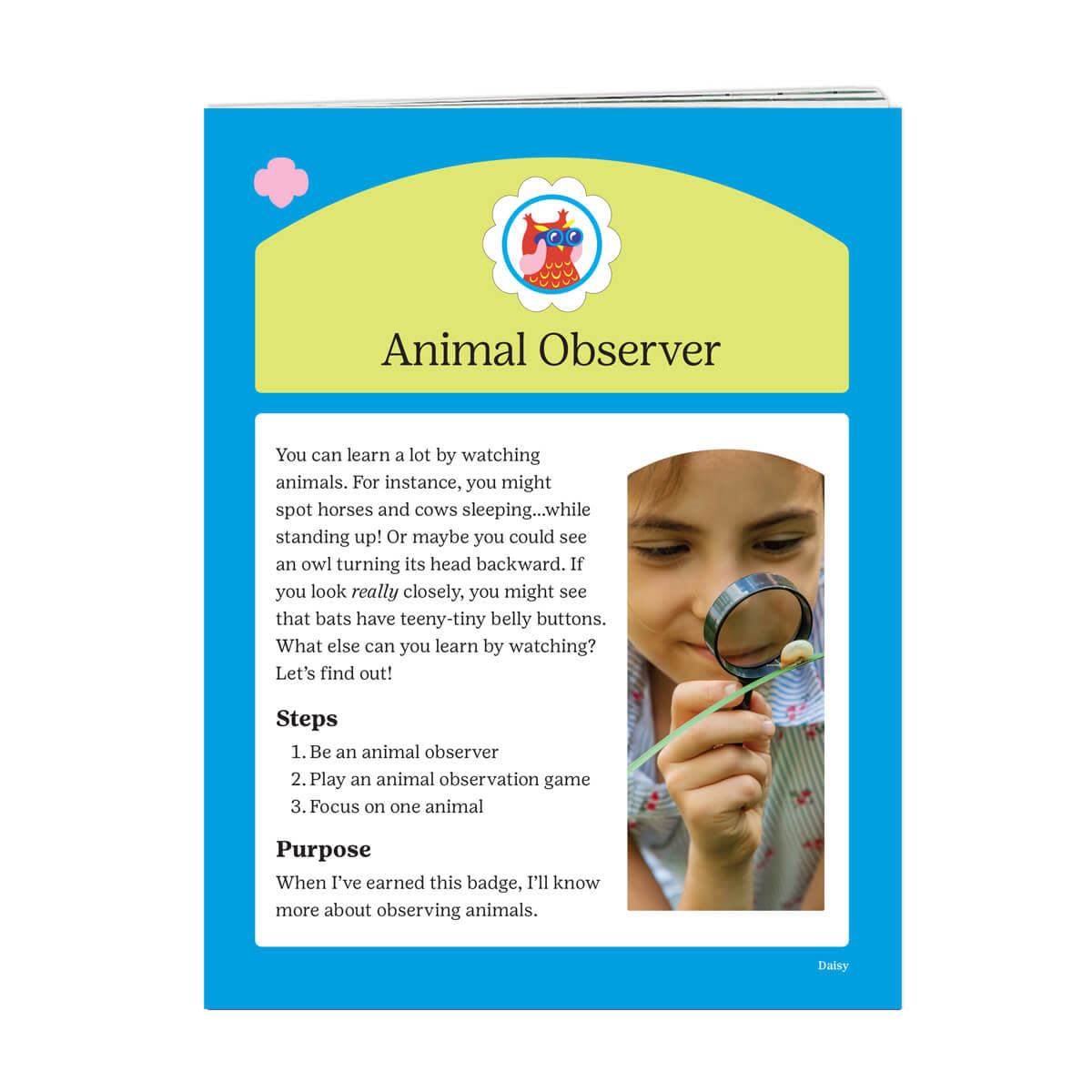 Daisy Animal Observer Badge Requirements Girl Scouts of Wisconsin