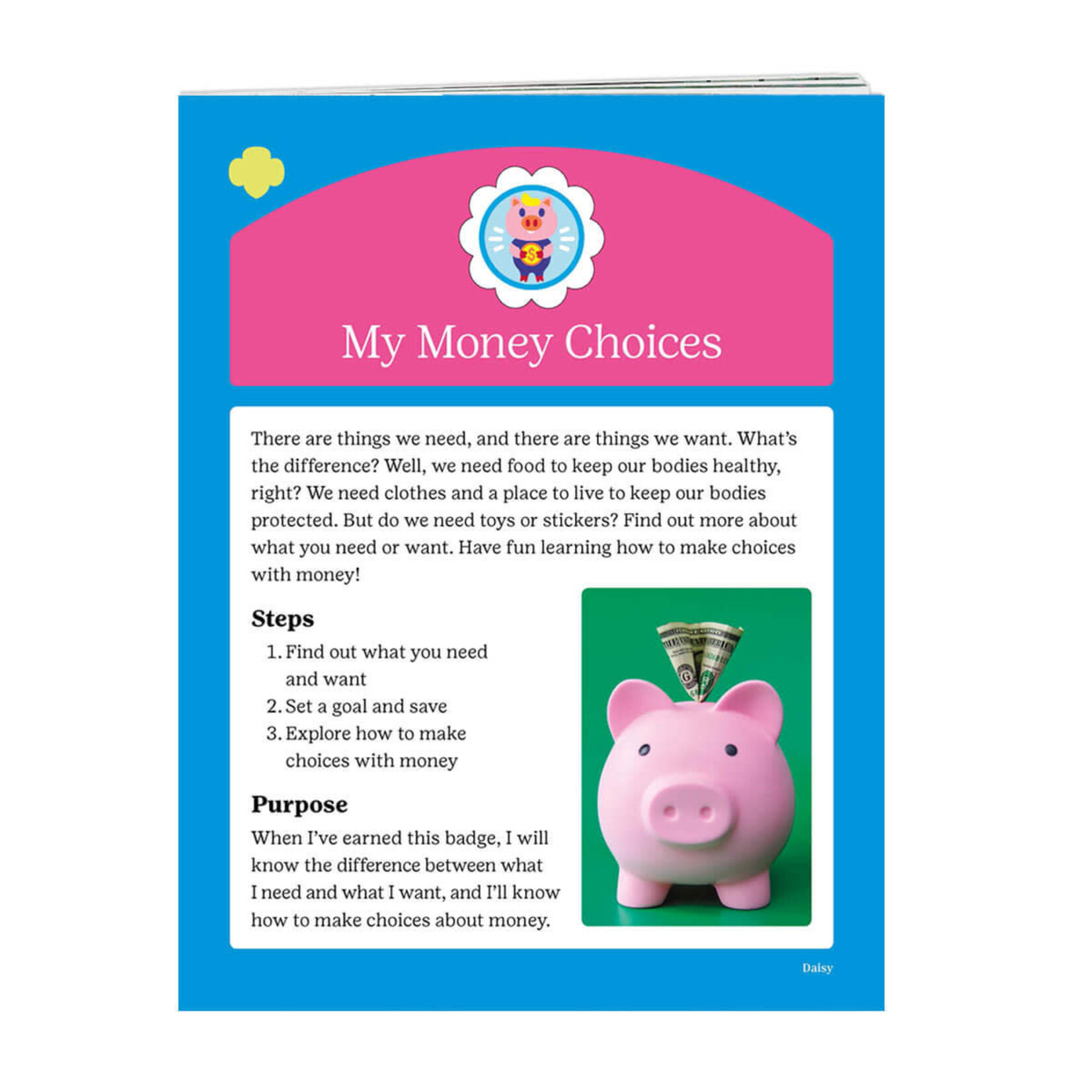 Girl Scout Merchandise Daisy My Money Choices Badge Requirements