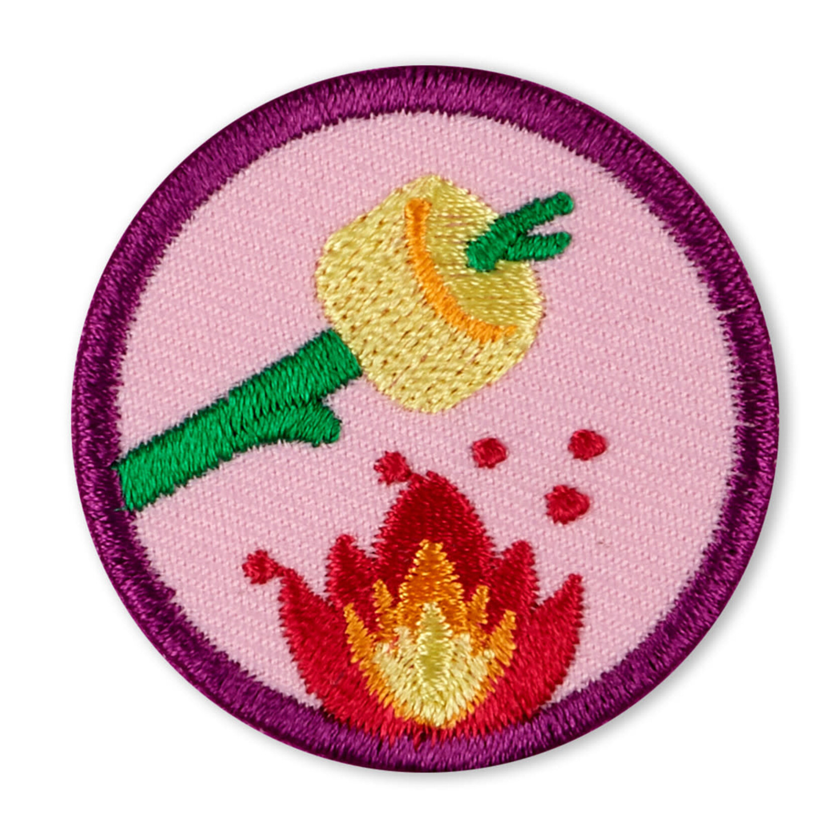 Girl Scout Merchandise JR ECO CAMPER BADGE