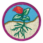 Girl Scout Merchandise JR FLOWERS  - LEGACY