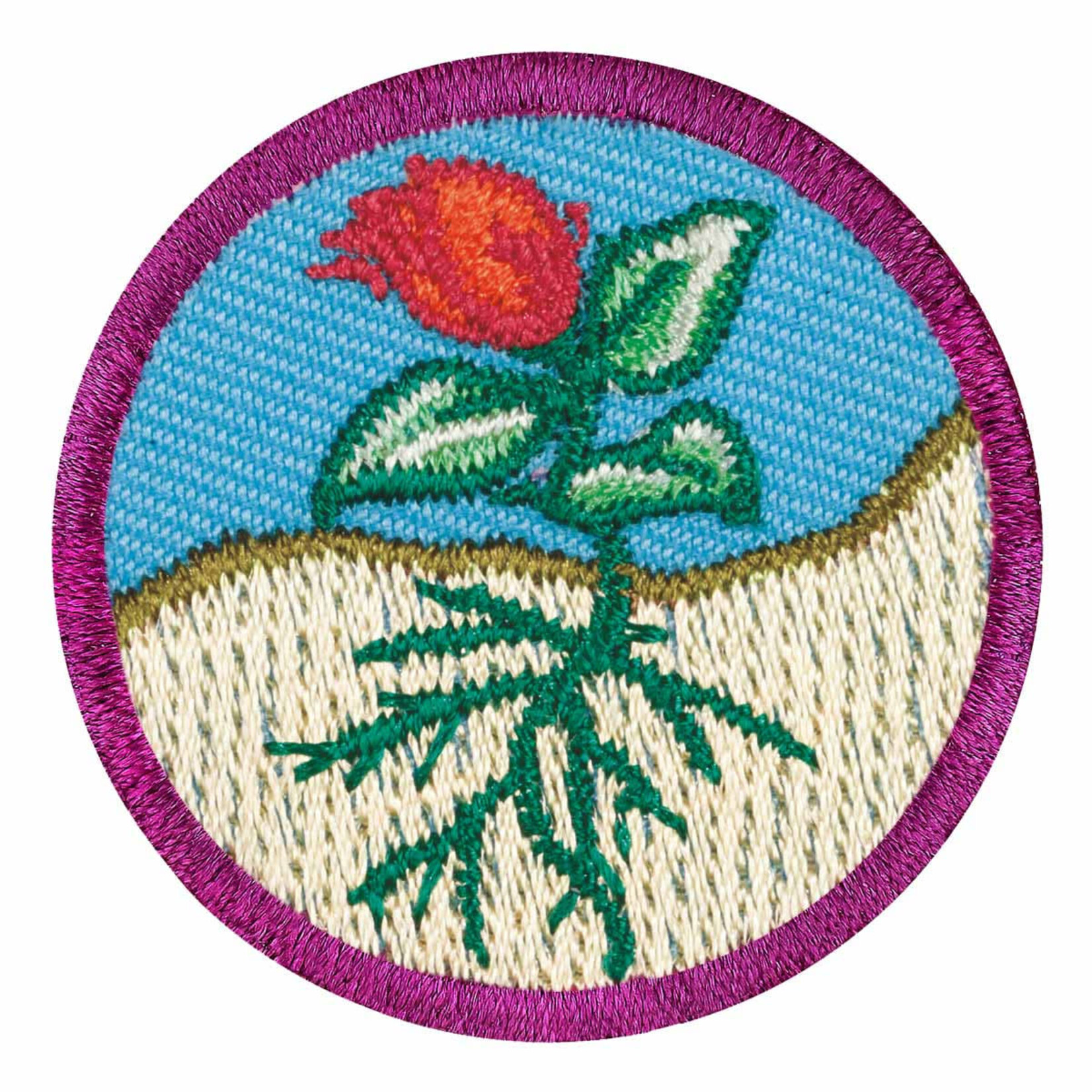 Girl Scout Merchandise Junior Flowers