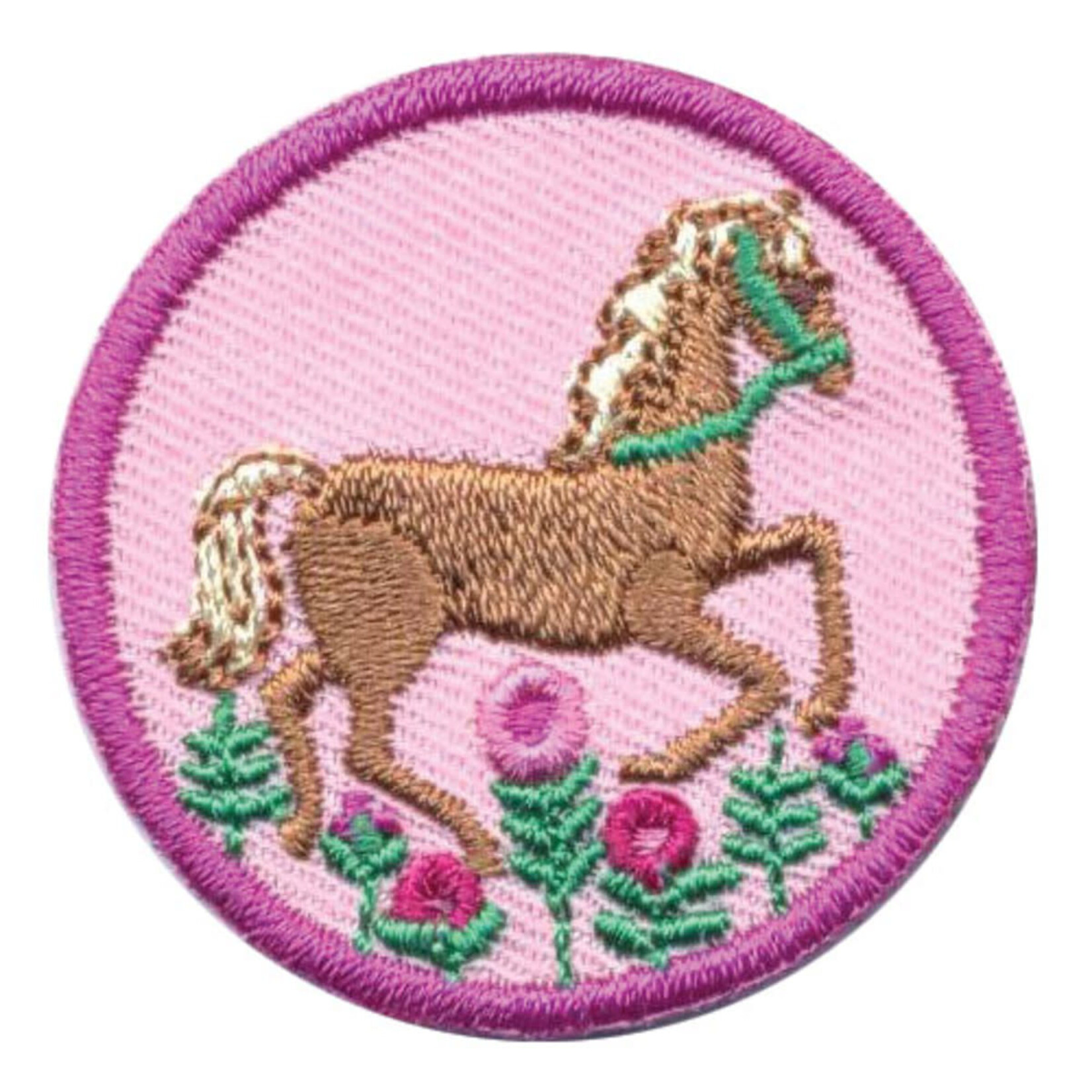 Girl Scout Merchandise JR HORSEBACK RIDING -OUTDOOR