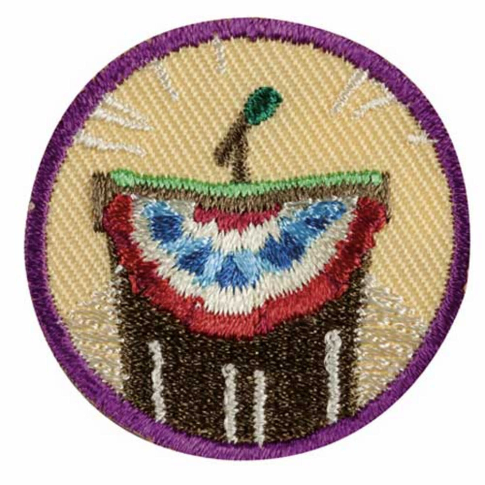 Girl Scout Merchandise Junior Inside Government