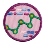 Girl Scout Merchandise Junior Computer Science Journey Award-Think Like a Programmer