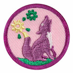 Girl Scout Merchandise JR OUTDOOR ART EXPLORER BADGE