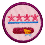 Girl Scout Merchandise Junior Cybersecurity Safeguards 2