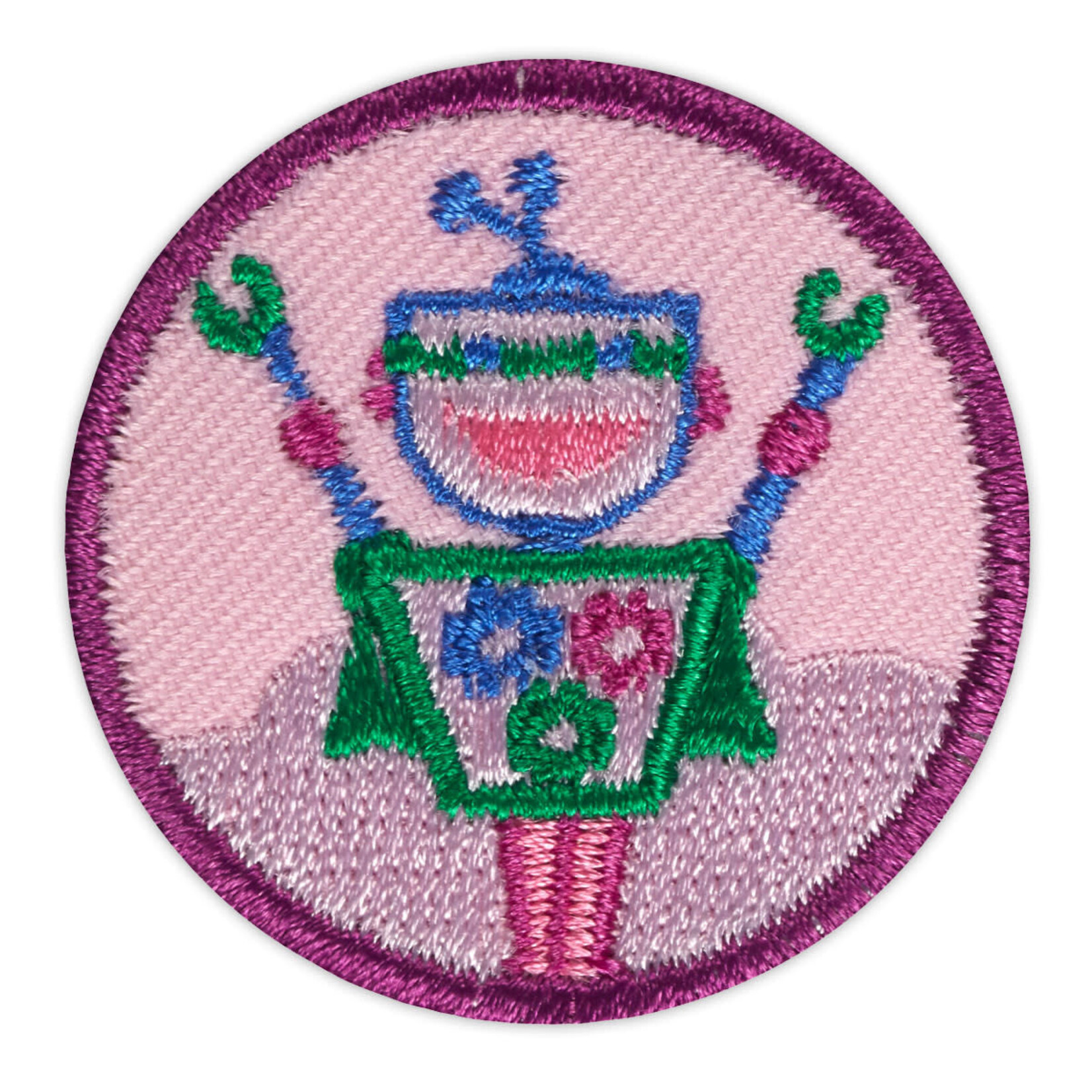 Girl Scout Merchandise Junior Showcasing Robots