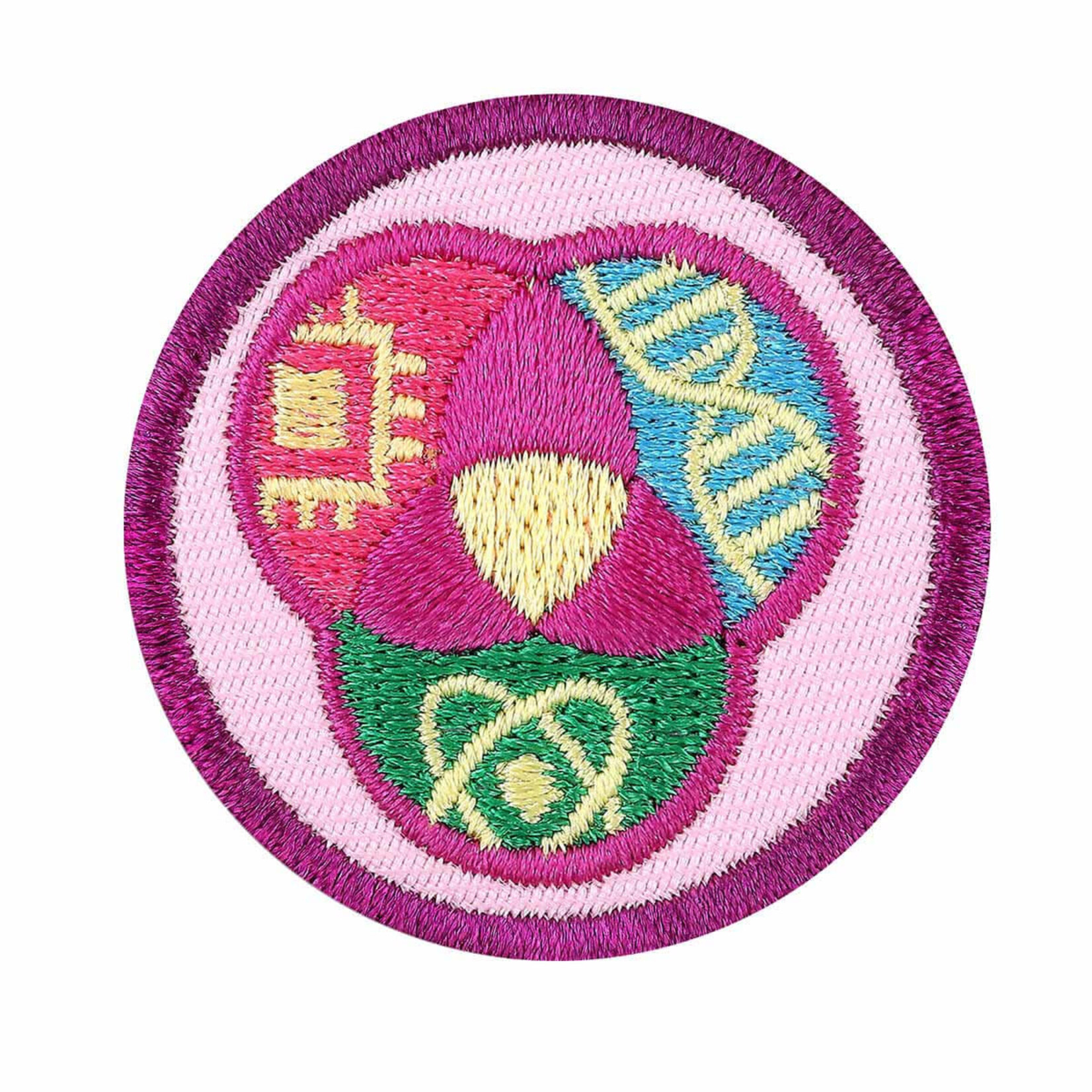 Girl Scout Merchandise Junior STEM Career Exploration