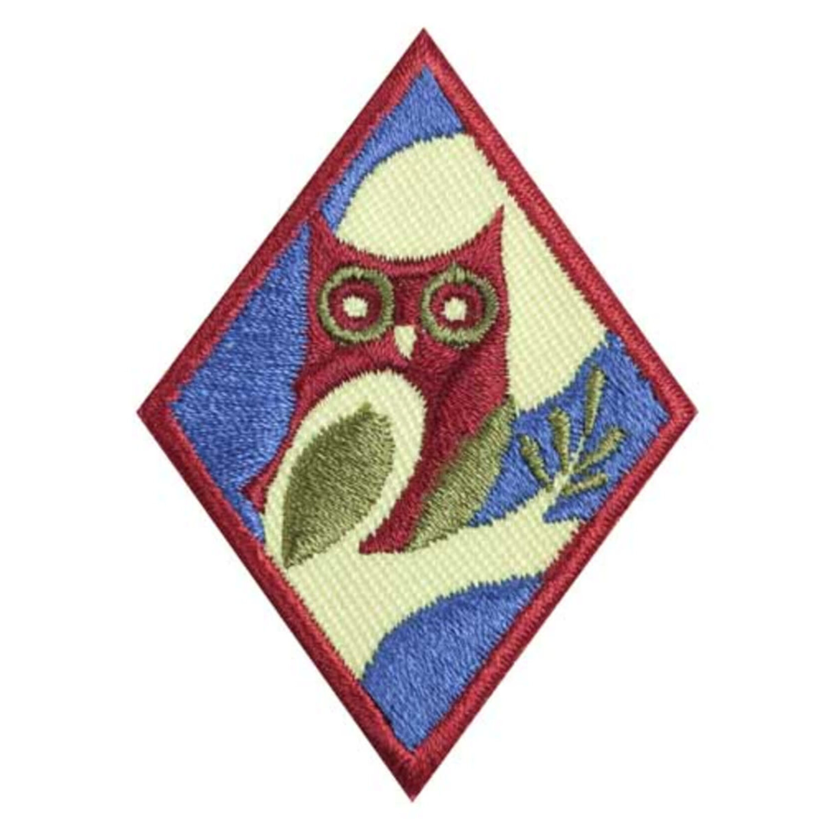 Girl Scout Merchandise Cadette Night Owl