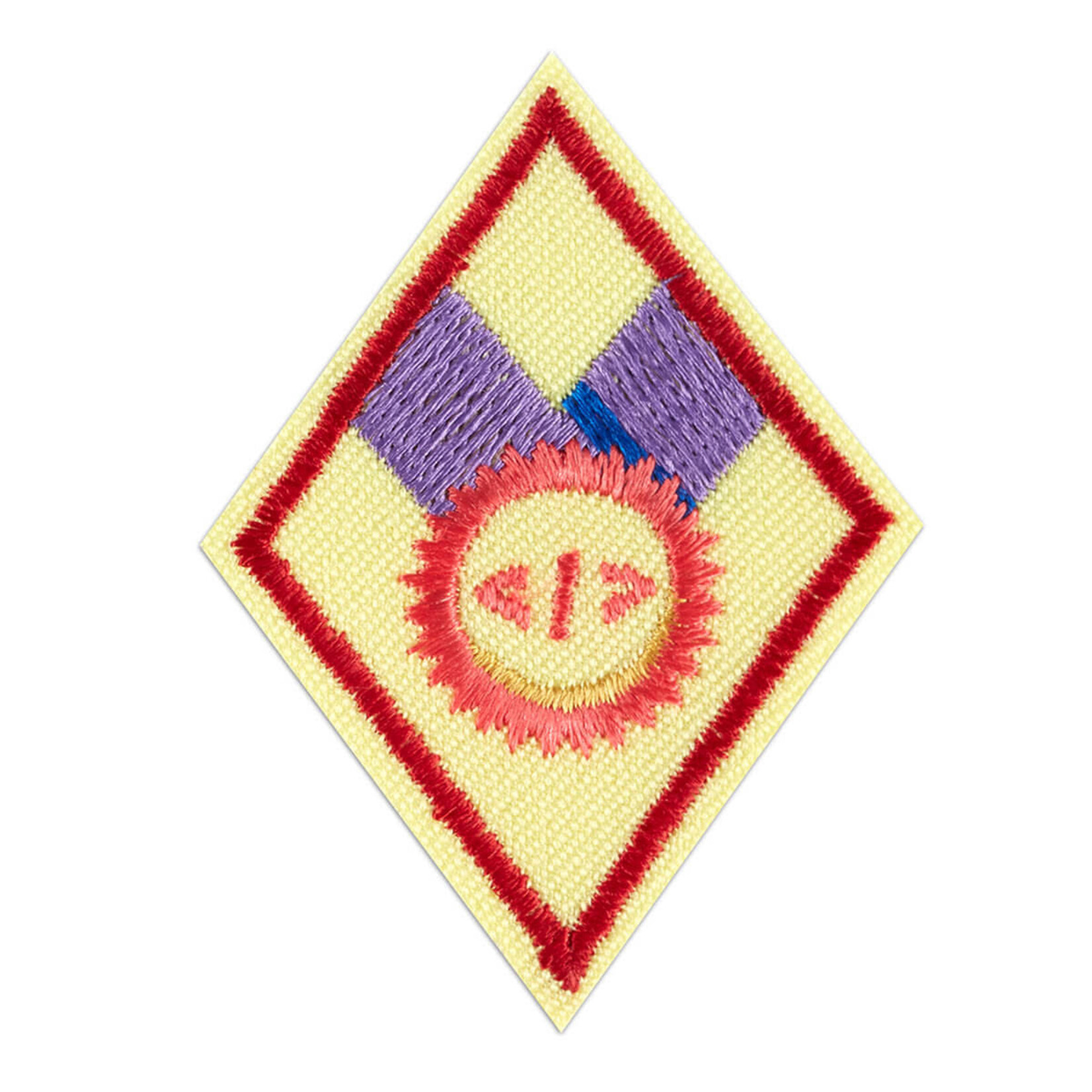 Girl Scout Merchandise Cadette Coding Basics 1