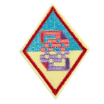 Girl Scout Merchandise Cadette Cybersecurity Basics 1