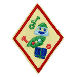 Girl Scout Merchandise Cadette Designing Robots 2