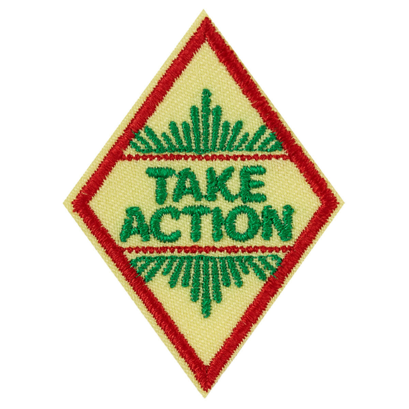 Girl Scout Merchandise Cadette Take Action Award