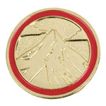 Girl Scout Merchandise Cadette Journey Summit Award Pin