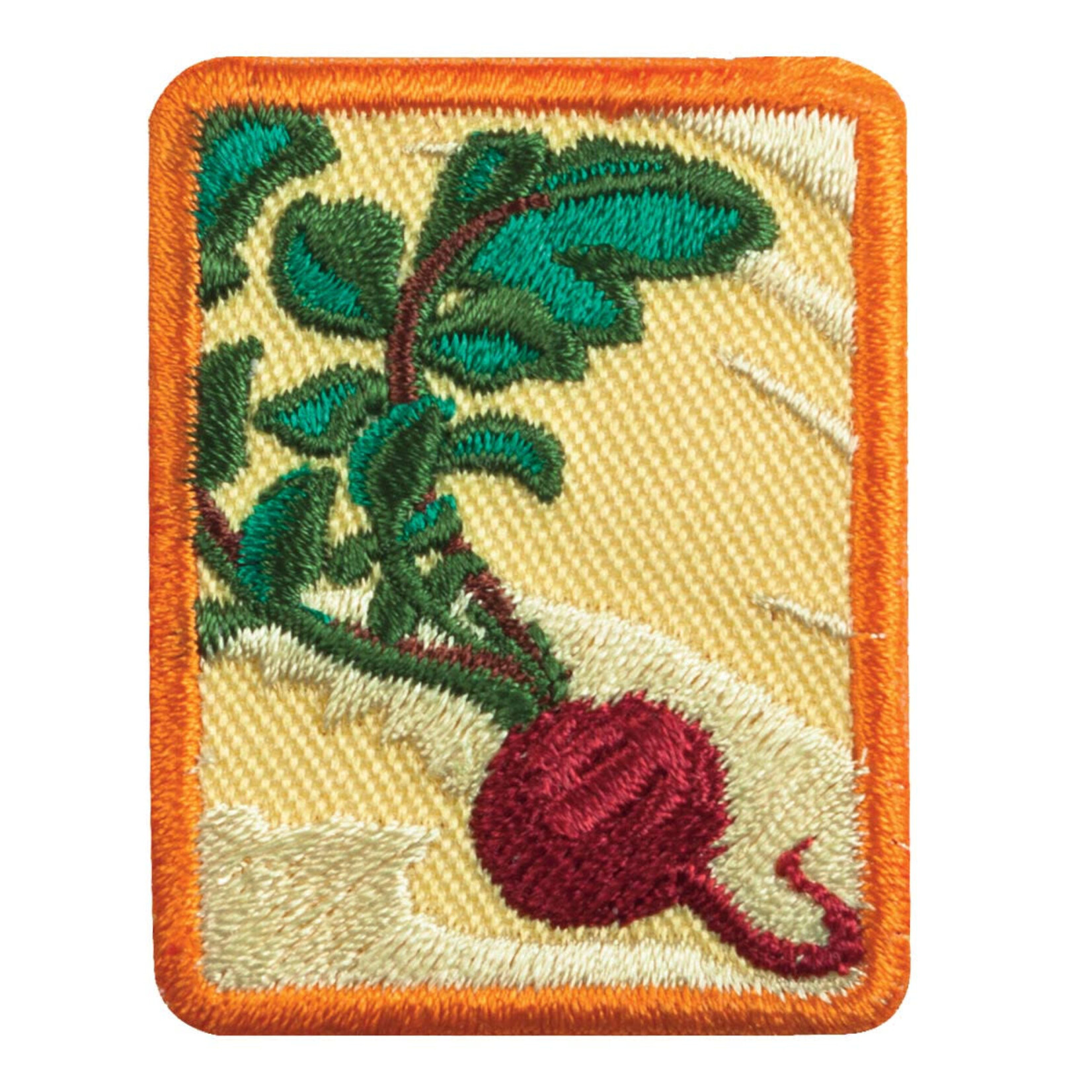 Girl Scout Merchandise Senior Locavore