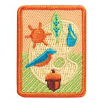 Girl Scout Merchandise Senior Outdoor Art Expert