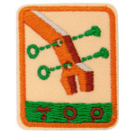 Girl Scout Merchandise Senior Designing Robots 2