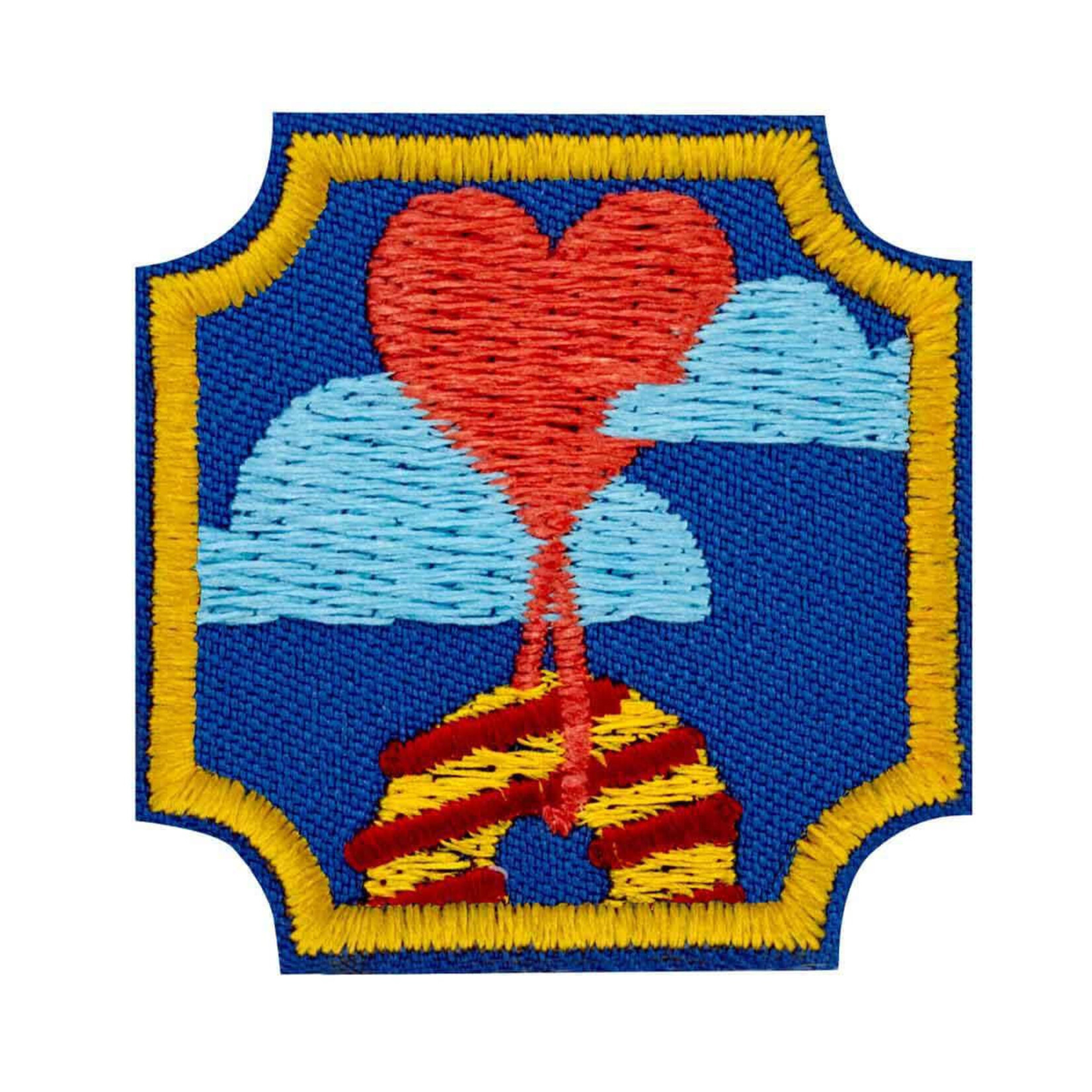 Girl Scout Merchandise Ambassador Cookie Influencer