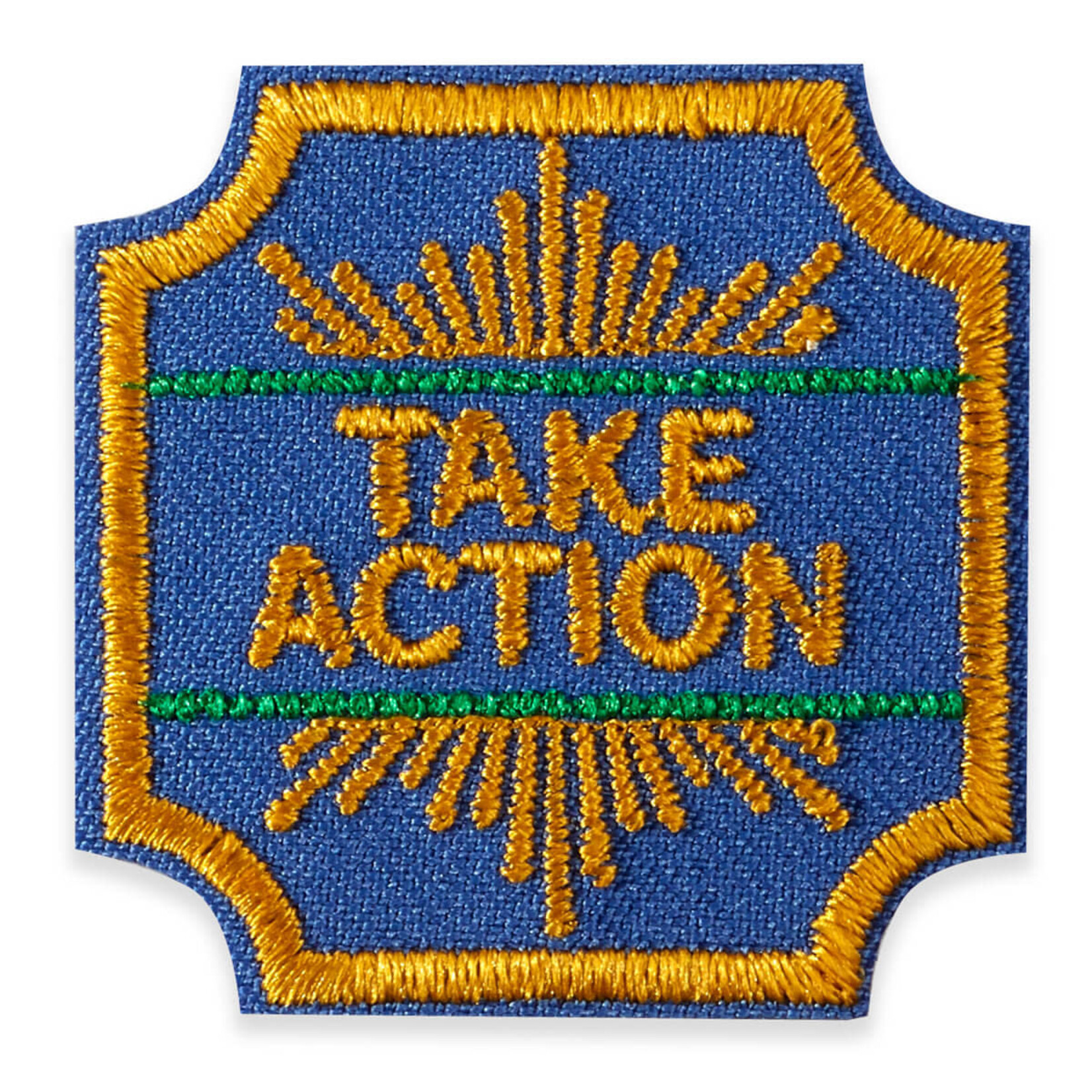 Girl Scout Merchandise Ambassador Take Action Award