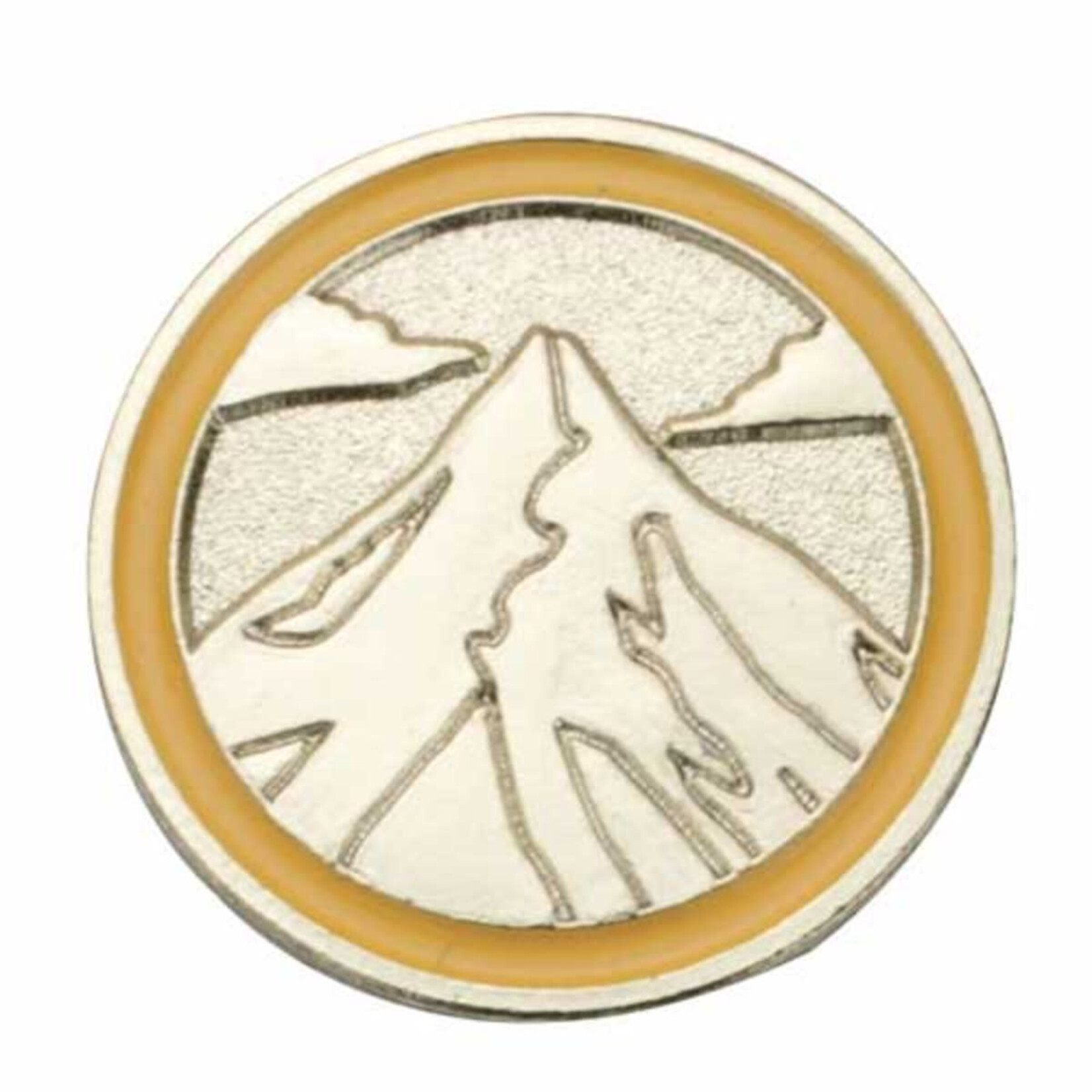 Girl Scout Merchandise Ambassador Journey Summit Pin