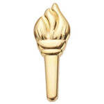 Girl Scout Merchandise Ambassador Gold Torch Award