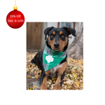 Girl Scout Merchandise Classic Pet Bandana