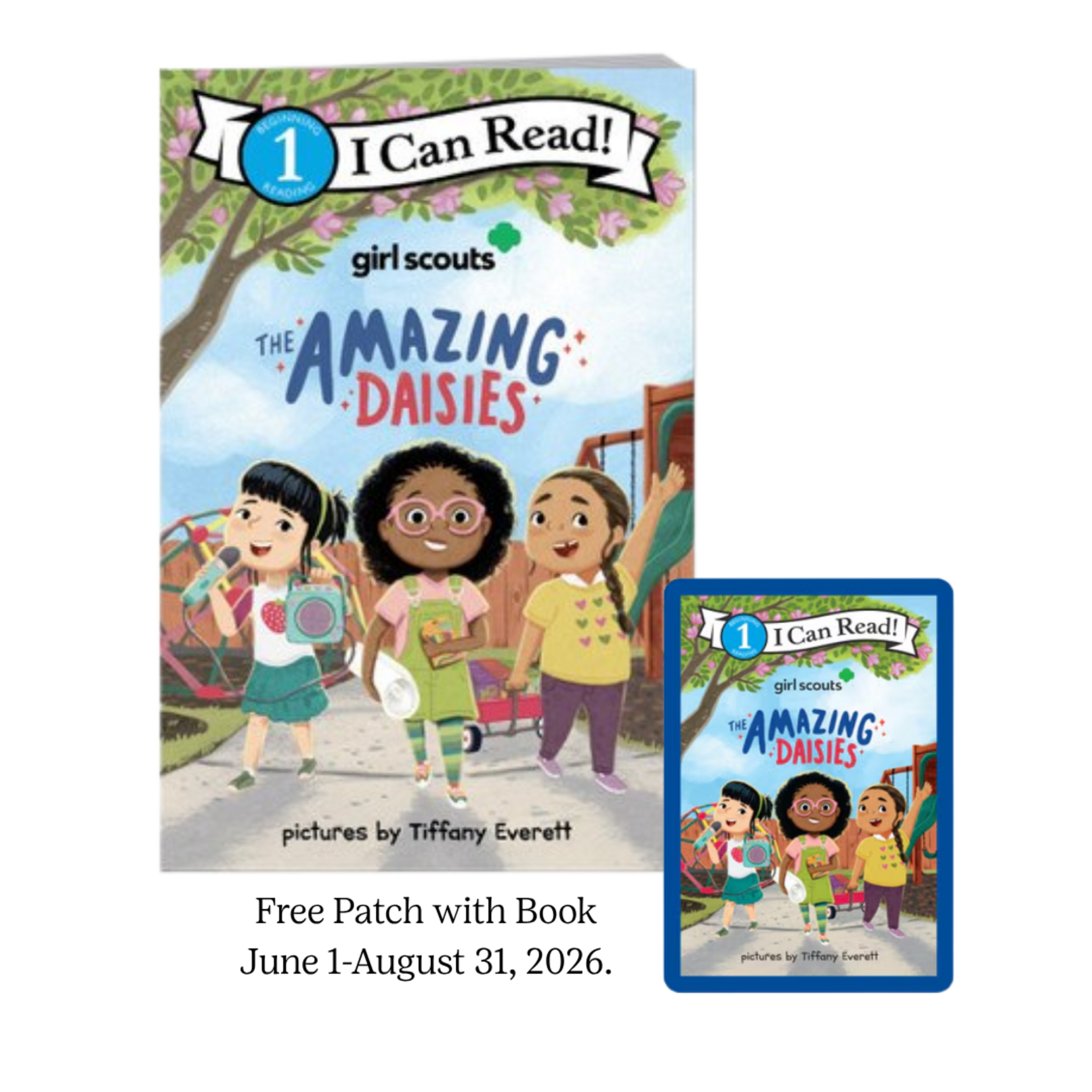 Girl Scout Merchandise The Amazing Daisies Book