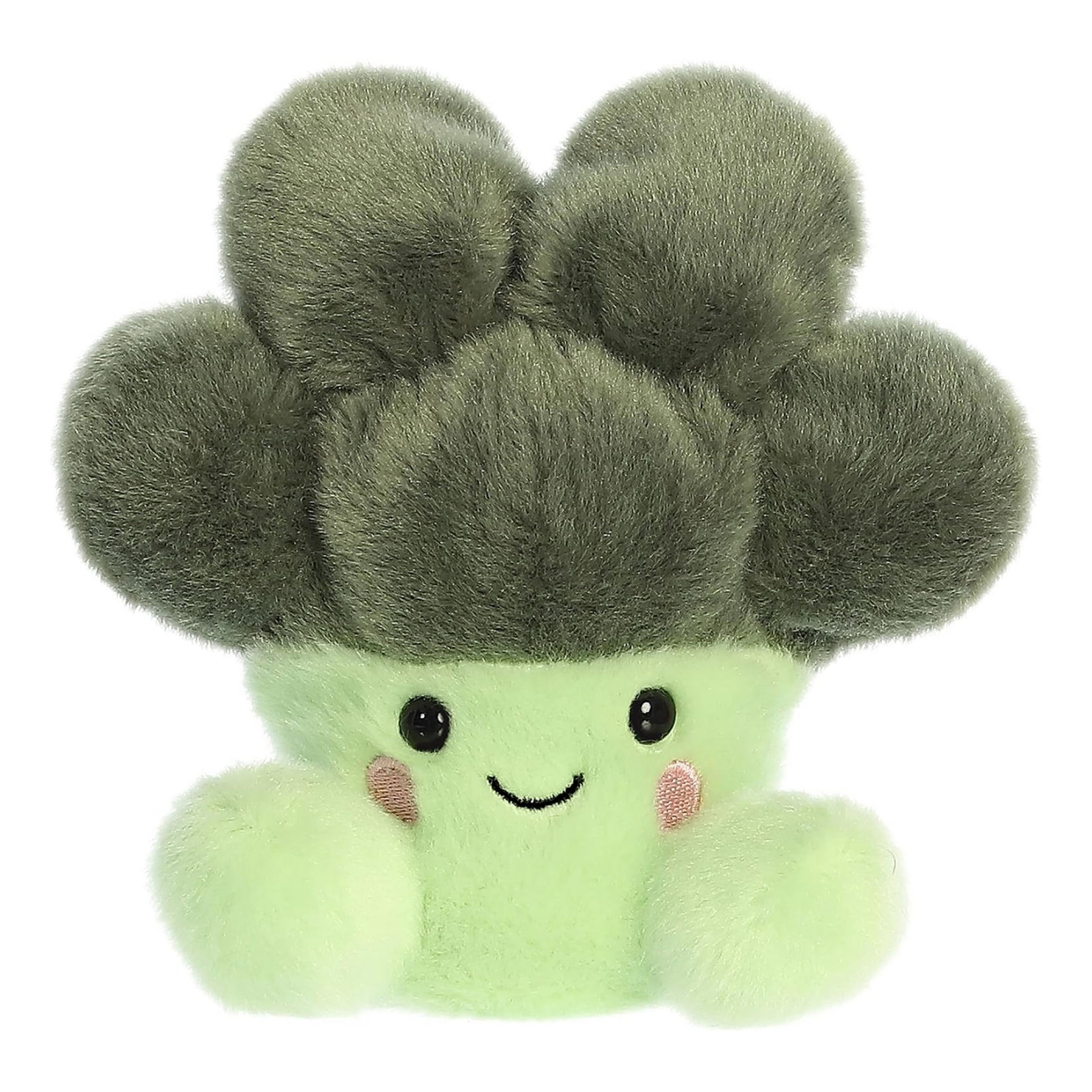 Aurora Luigi Broccoli Palm Pal