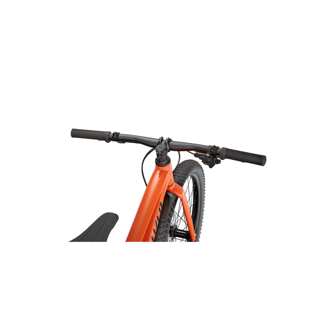 Specialized Riprock 24