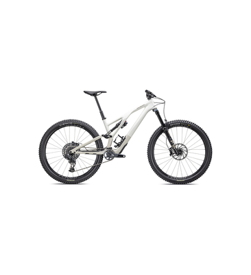 Specialized Stumpjumper Evo Expert