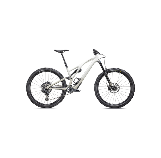 Specialized Stumpjumper Evo Expert