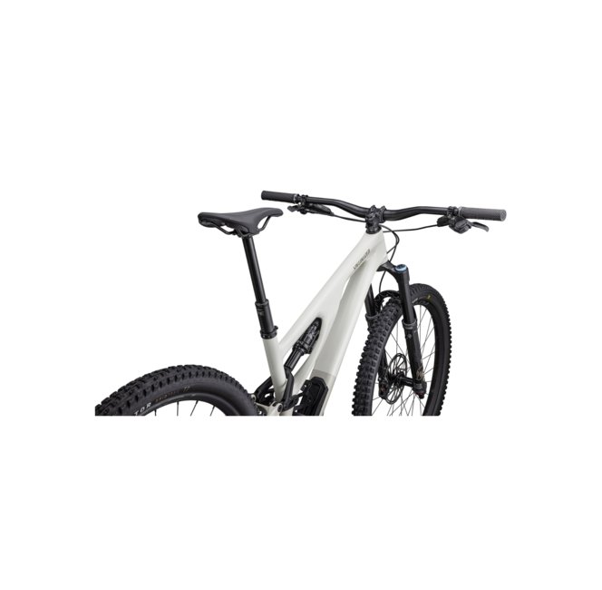 Specialized Stumpjumper Evo Expert