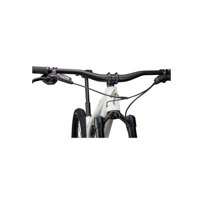 Specialized Stumpjumper Evo Expert