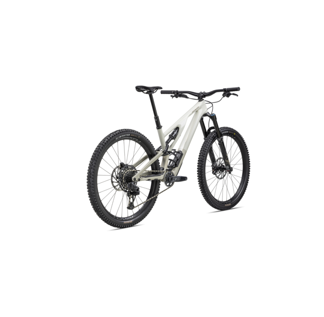 Specialized Stumpjumper Evo Expert