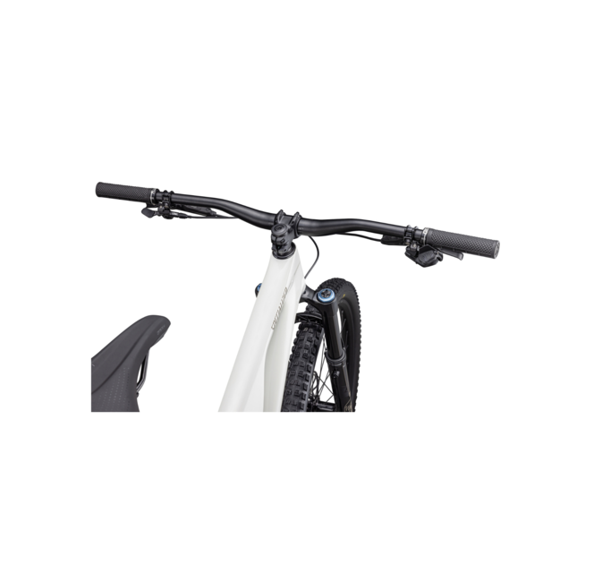 Specialized Stumpjumper Evo Expert