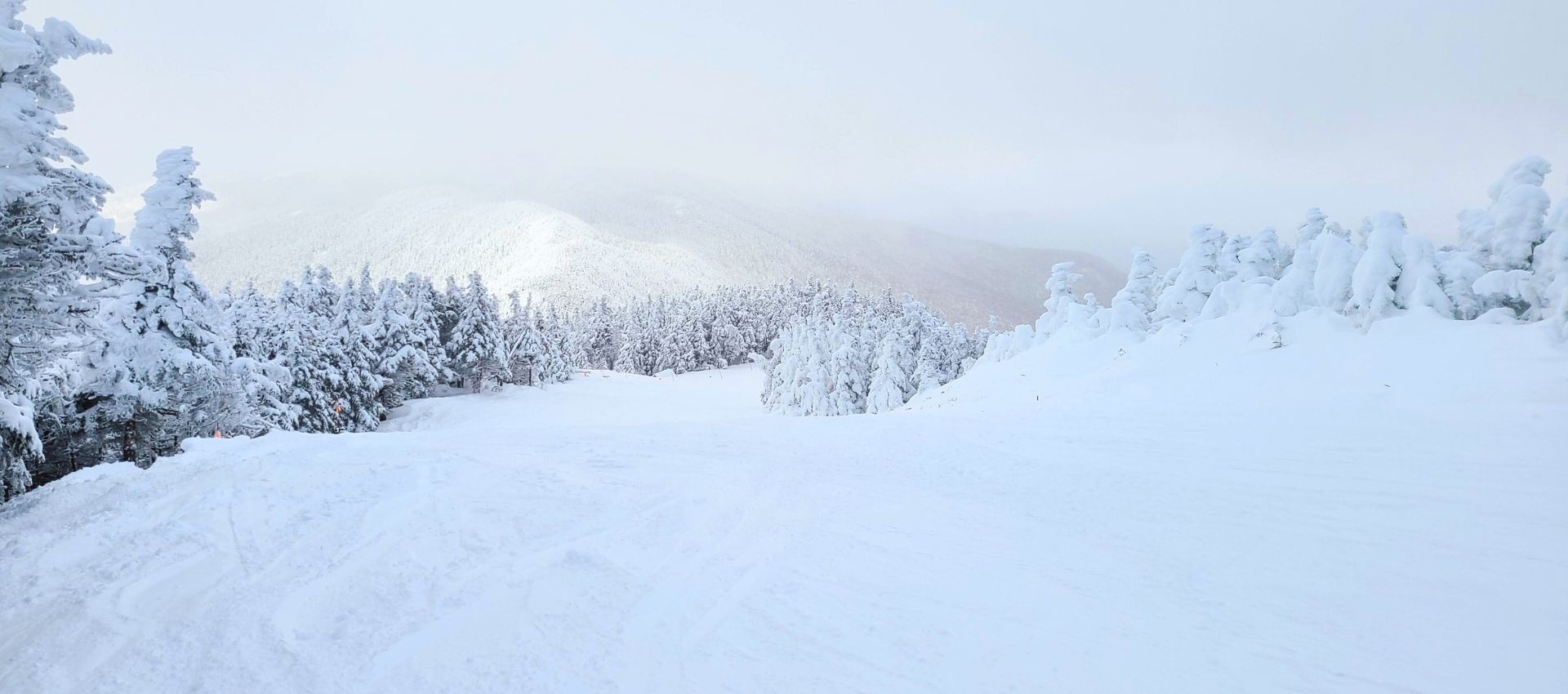 Vermont Snowy Landscape Boot Pro