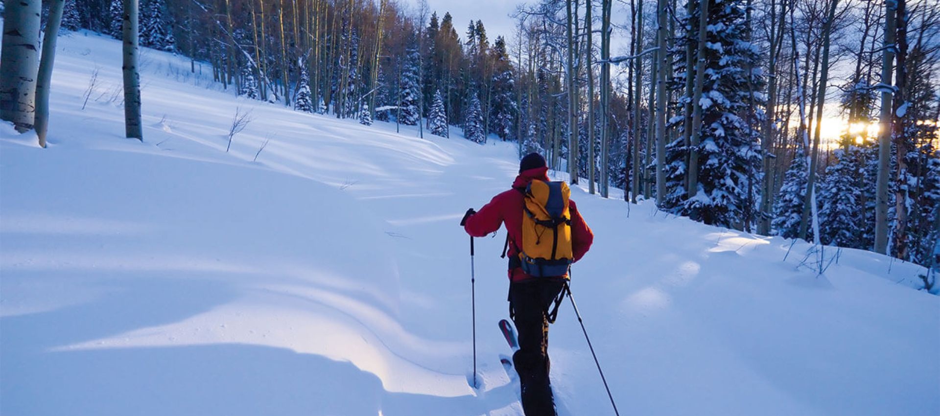 Alpine Touring Boot Pro