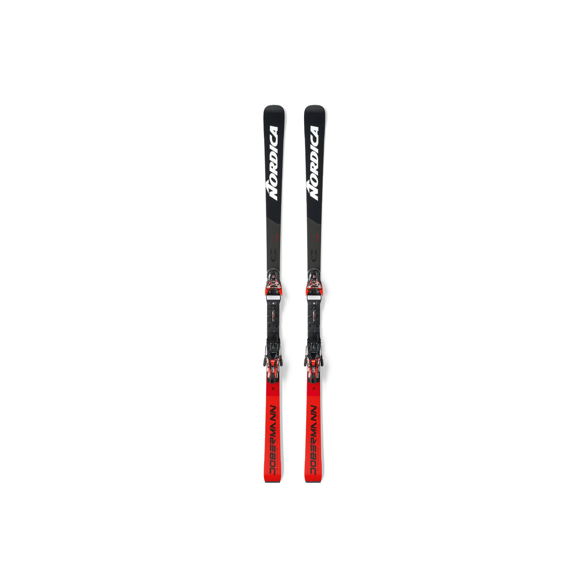 ノルディカ NORDICA 2024-2025 DOBERMANN GS RACE PLATE + COMP ノルディカ NORDICA 2024-2025 DOBERMANN GS RACE PLATE + COMP