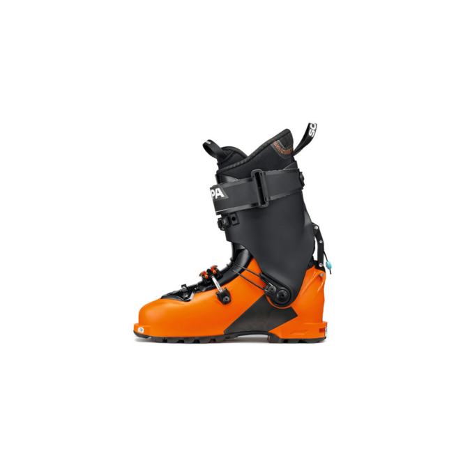 Scarpa Maestrale 2026
