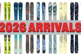 Explore Our New Arrivals