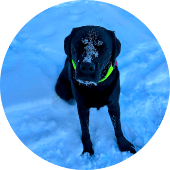 Anne-Marie-Comeau-Office-Manager-Boot-Pro