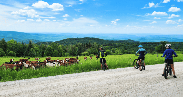 Guided Ride Rates Boot Pro