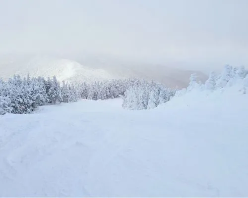 THE MOUNTAINS OF VERMONT<br>ARE CALLING banner