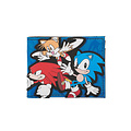 Wallet ( Sega ) Sonic Characters