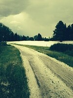 Punch Pass 20 Rounds