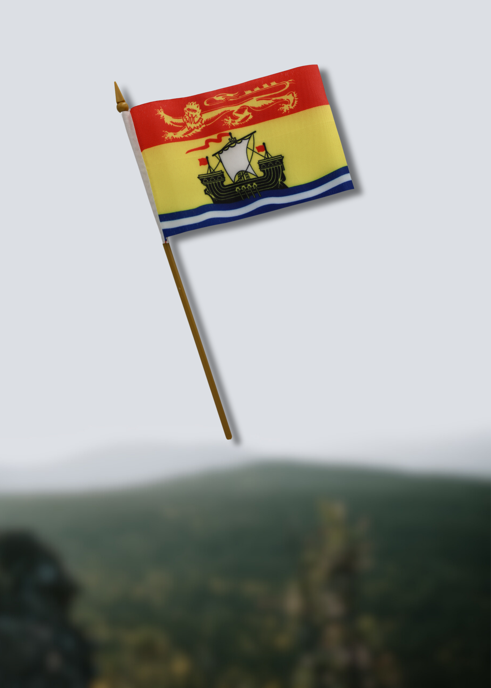 Mini-drapeau du NB