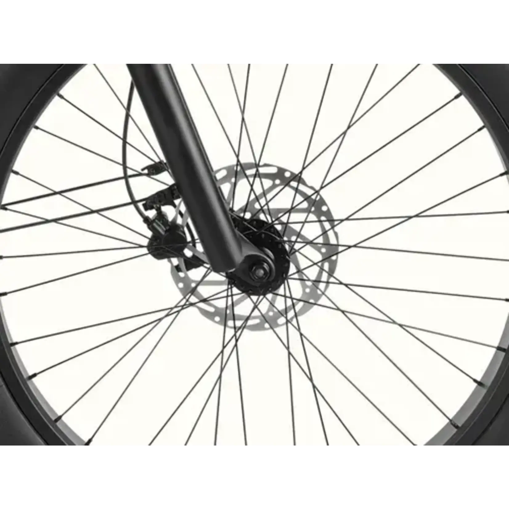 Retrospec Koa Rev+ 2 Fat Tire Step Thru